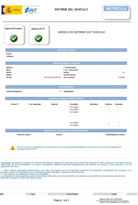 INFORME dgt completo